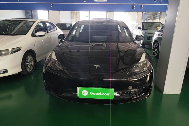 Tesla Model 3 2021 #3 Tesla Model 3 2021 car image #3