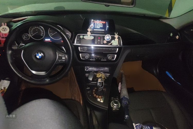 BMW 3 Series 2017 car image #11