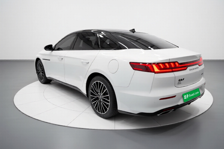 BYD Han 2021 immagine di auto #5