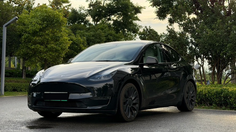 Tesla Model Y 2021 #9 Tesla Model Y 2021 car image #9