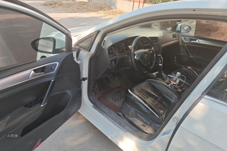 Volkswagen Golf 2019 #18 Volkswagen Golf 2019 car image #18
