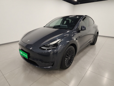 Tesla Model Y 2024 Tesla Model Y 2024 car image