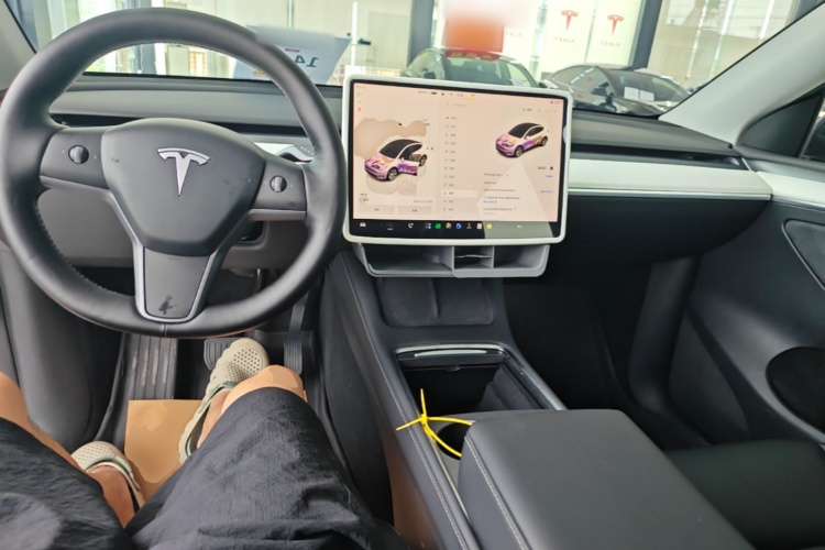 Tesla Model Y 2022 car image #10