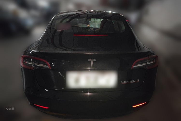 Tesla Model 3 2022 #6 Tesla Model 3 2022 car image #6