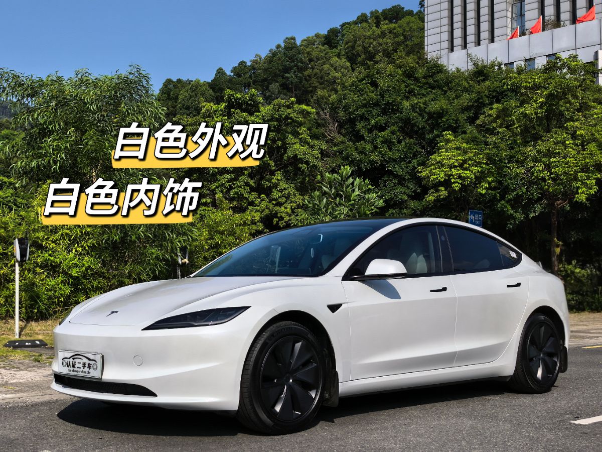 Tesla Model 3 2024 immagine di auto 
