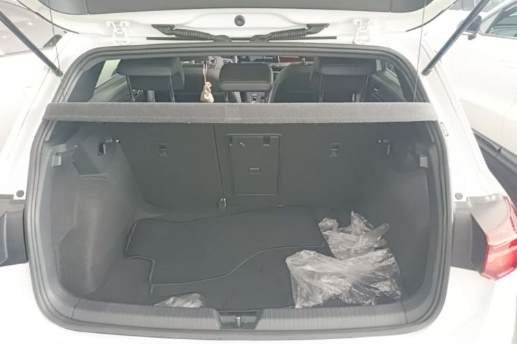 Volkswagen Golf 2021 car image #21