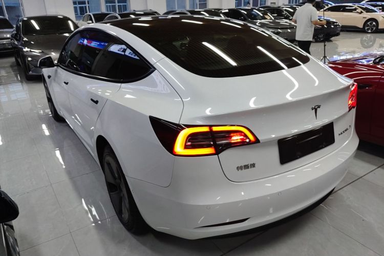 Tesla Model 3 2022 immagine di auto #5