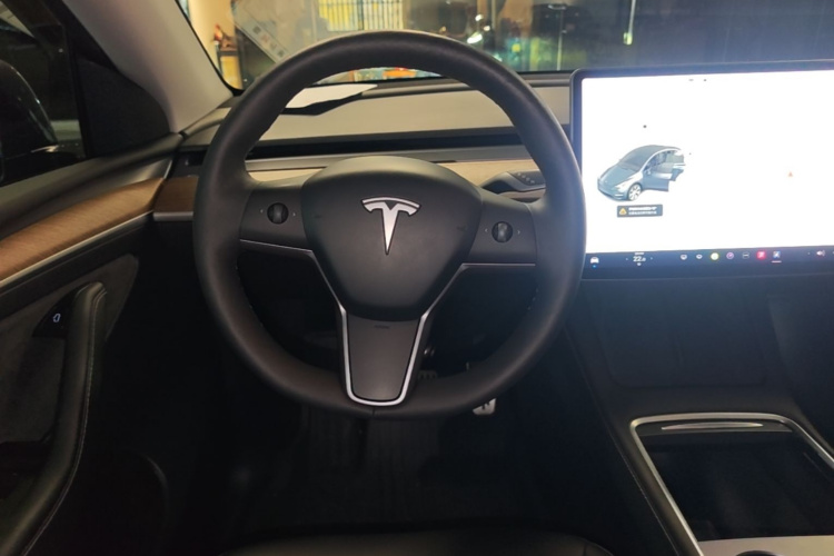 Tesla Model Y 2021 car image #11