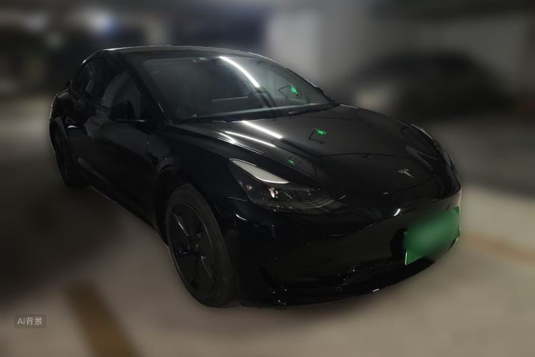 Tesla Model 3 2021 #4 Tesla Model 3 2021 car image #4