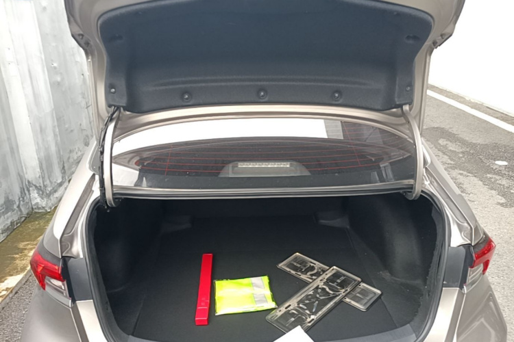 Toyota Corolla 2021 car image #19