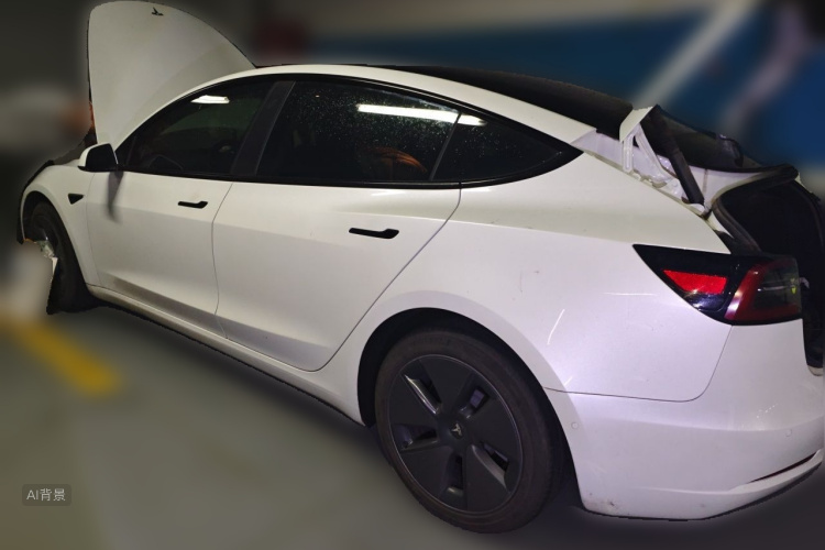 Tesla Model 3 2023 car image #5
