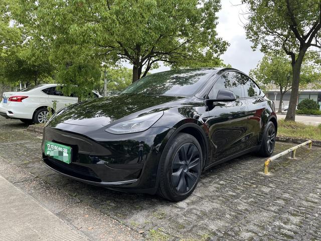 Tesla Model Y 2023 car image #10