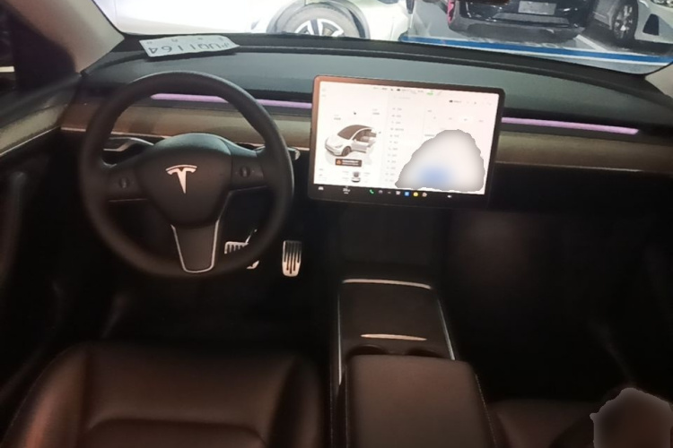 Tesla Model Y 2022 car image #10