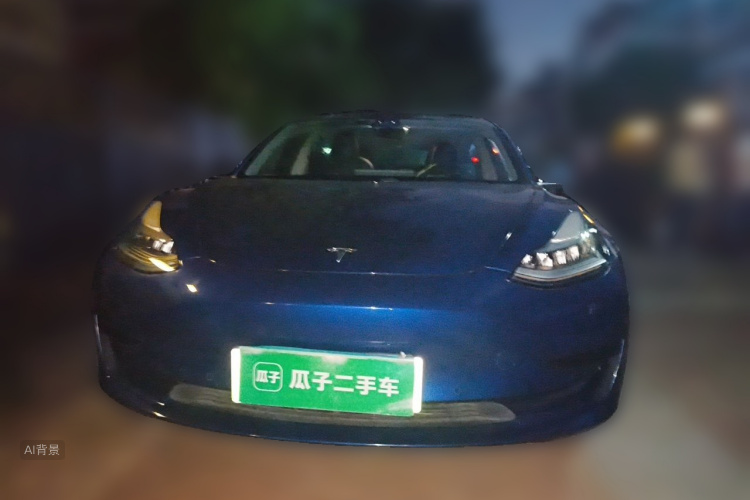 Tesla Model 3 2020 car image #3