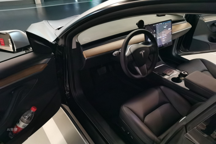 Tesla Model 3 2021 car image #18