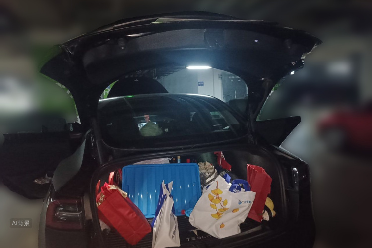 Tesla Model 3 2021 car image #21