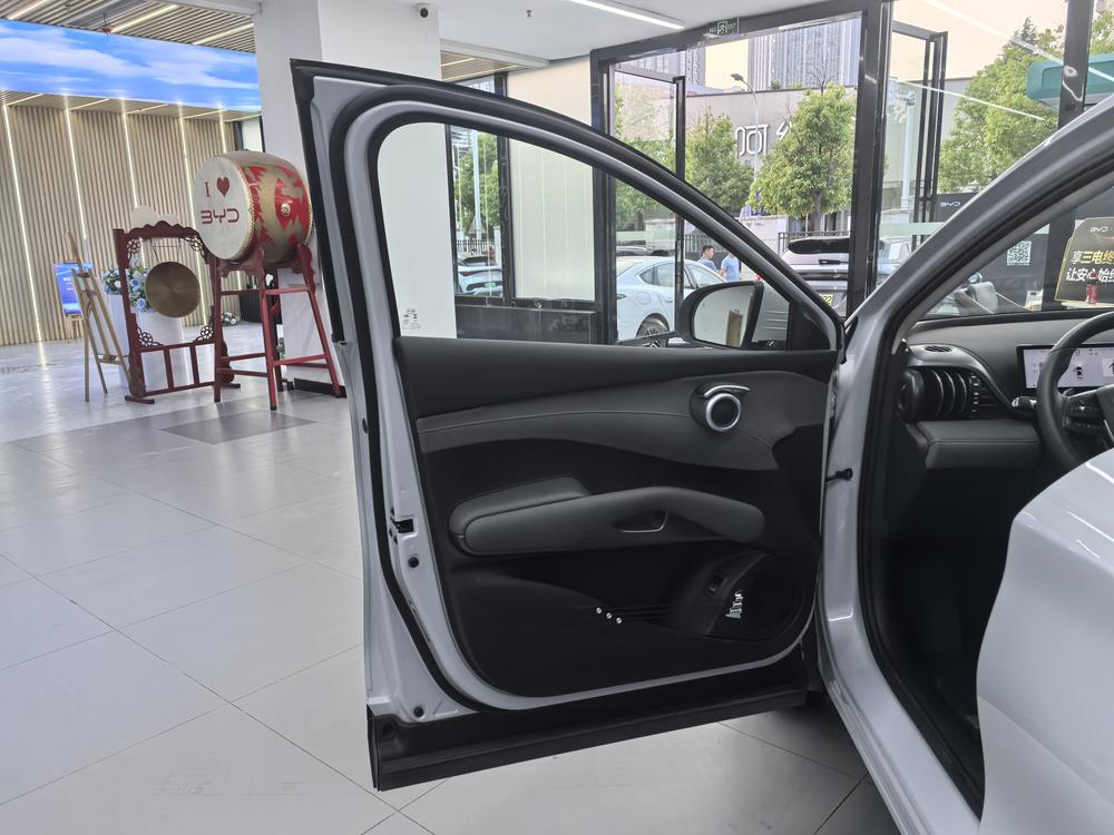 BYD Yuan Plus 2025 #18 BYD Yuan Plus 2025 car image #18