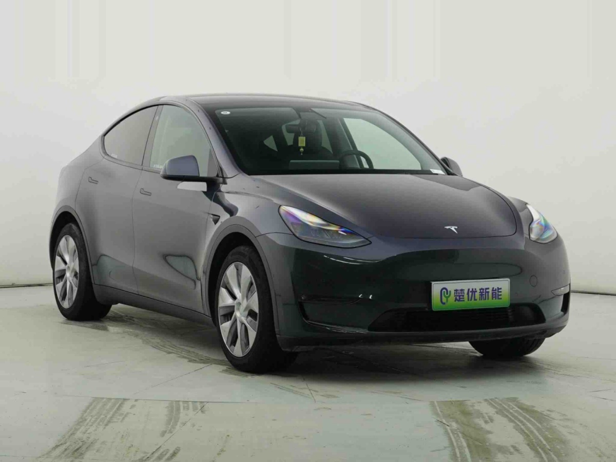 Tesla Model Y 2021 #3 Tesla Model Y 2021 car image #3