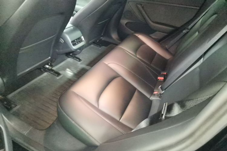 Tesla Model 3 2023 car image #17