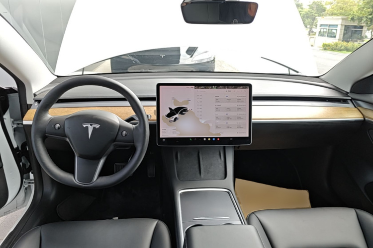 Tesla Model 3 2021 #10 Tesla Model 3 2021 car image #10