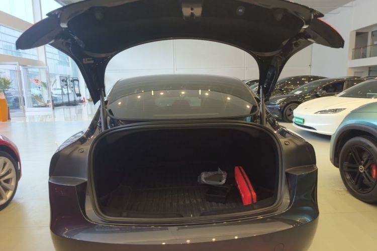 Tesla Model 3 2024 #19 Tesla Model 3 2024 car image #19