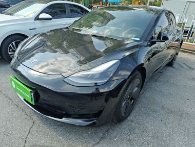 Tesla Model 3 2022 Tesla Model 3 2022 car image