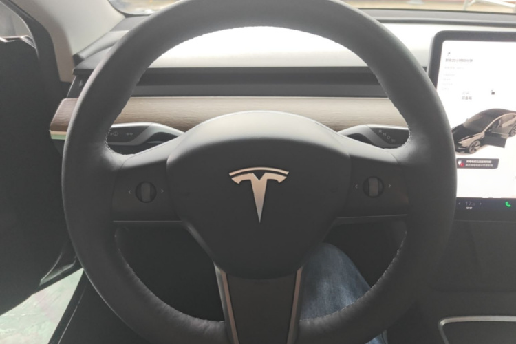 Tesla Model 3 2021 car image #11