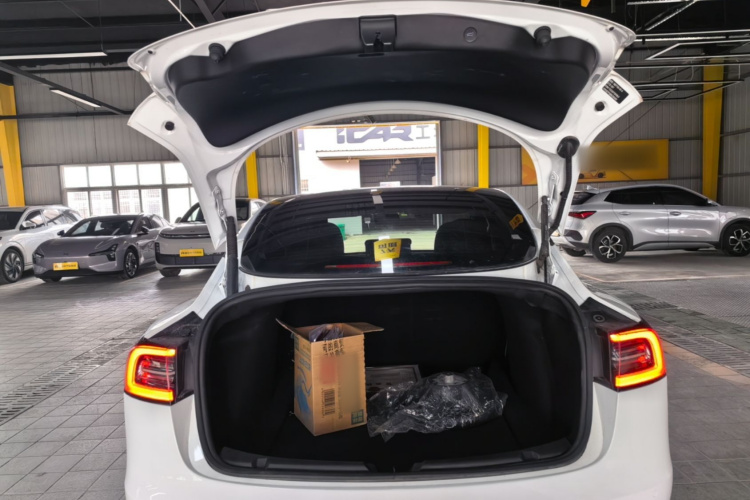 Tesla Model 3 2022 immagine di auto #19