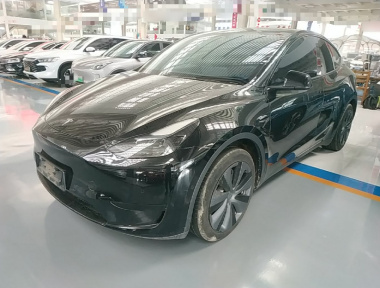 Tesla Model Y 2023 Tesla Model Y 2023 car image