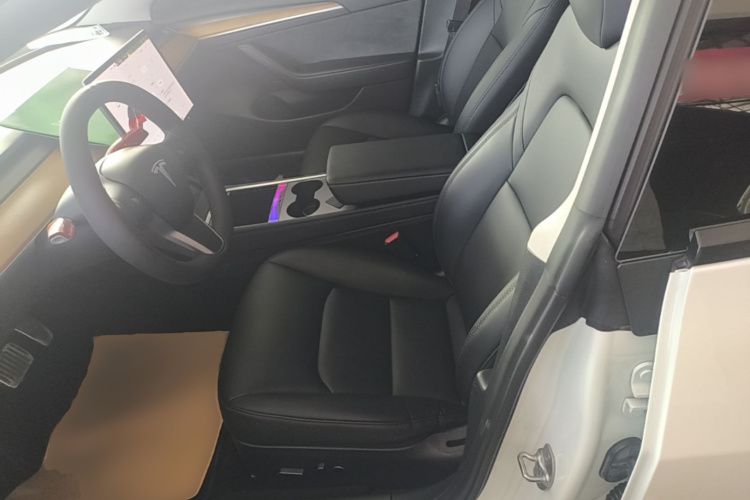 Tesla Model 3 2021 car image #15