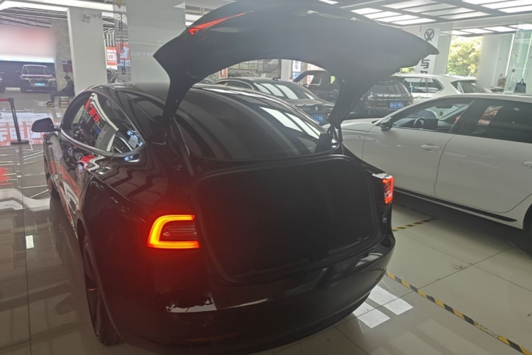 Tesla Model 3 2022 immagine di auto #19