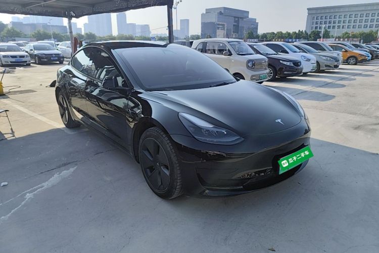 Tesla Model 3 2021 #4 Tesla Model 3 2021 immagine di auto #4