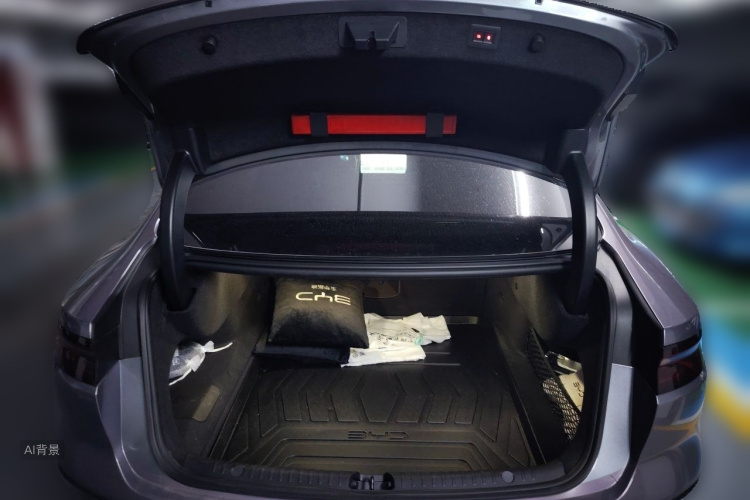 BYD Han 2024 car image #21