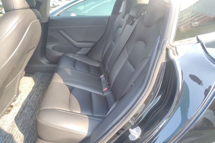 Tesla Model 3 2020 car image #17