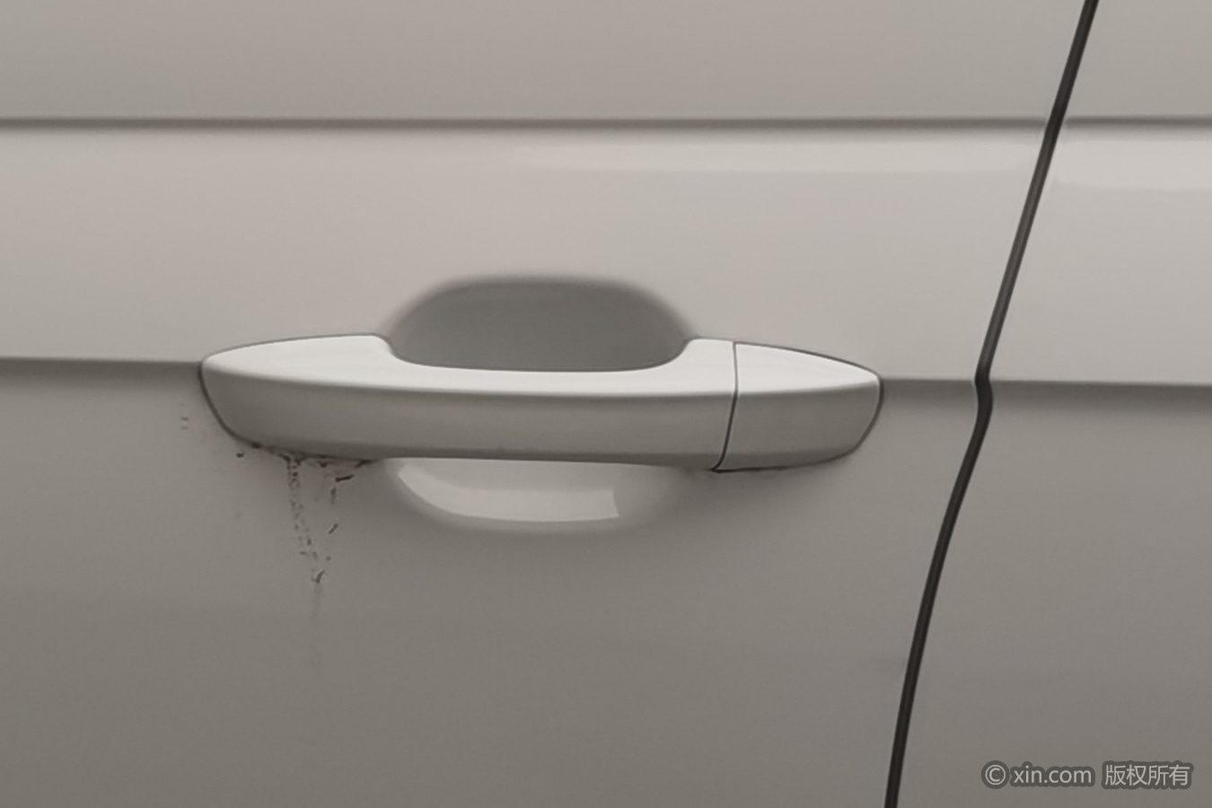 Volkswagen Polo 2023 car image #19