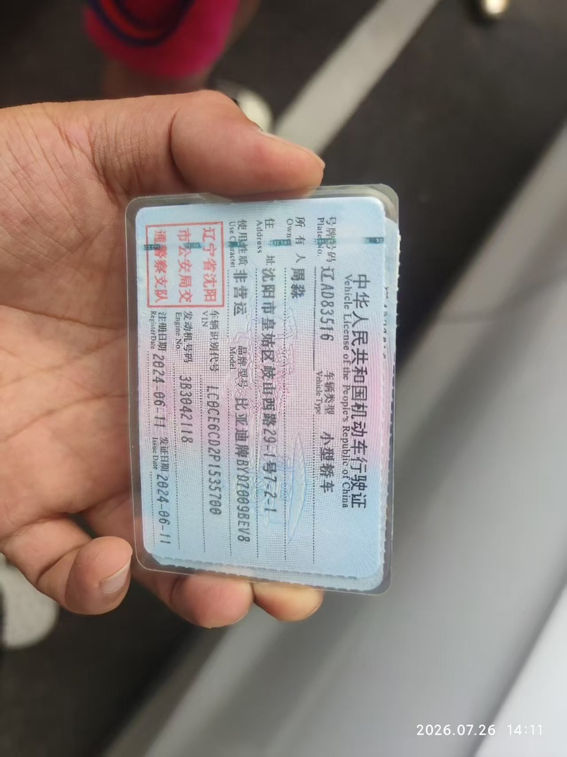 BYD Han 2024 car image #6