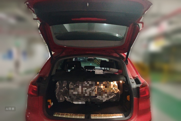 BMW X1 2016 car image #21