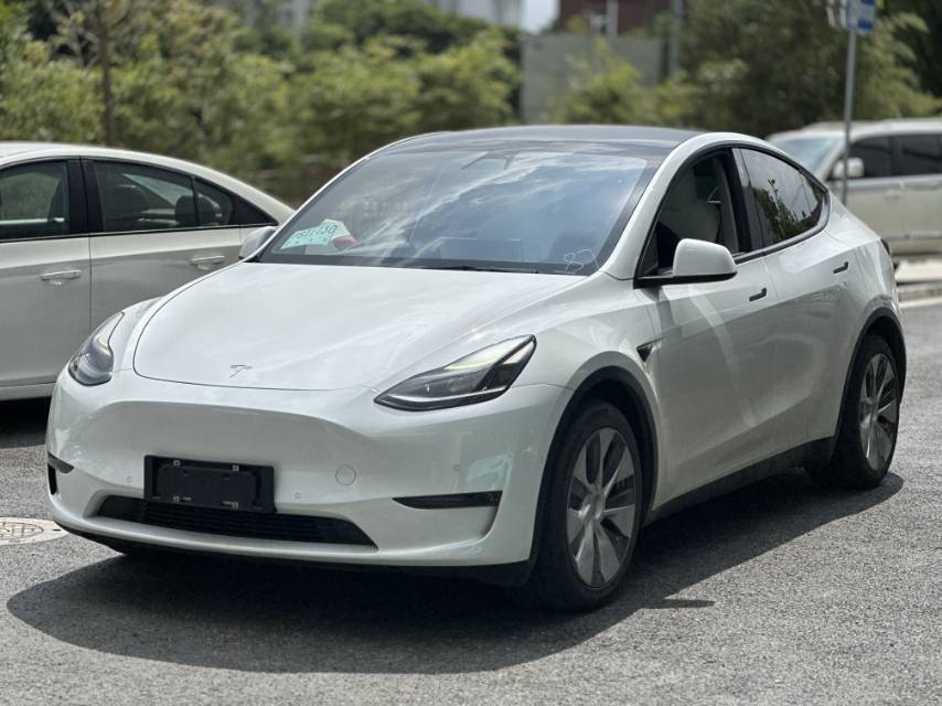 Tesla Model Y 2021 car image 