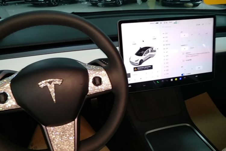 Tesla Model 3 2021 #14 Tesla Model 3 2021 car image #14
