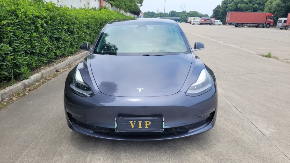 Tesla Model 3 2020 #2 Tesla Model 3 2020 car image #2
