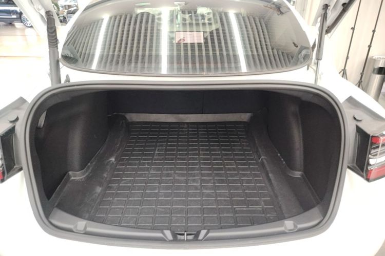 Tesla Model 3 2021 #19 Tesla Model 3 2021 car image #19