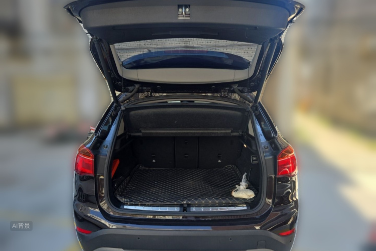 BMW X1 2018 car image #21