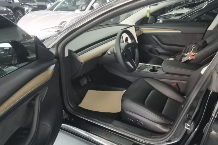 Tesla Model 3 2021 #16 Tesla Model 3 2021 car image #16
