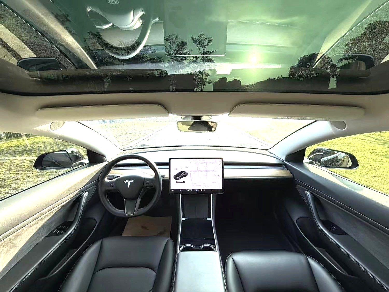 Tesla Model 3 2020 immagine di auto #4