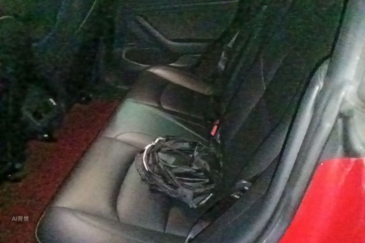 Tesla Model 3 2020 image de voiture #19