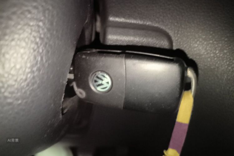 Volkswagen Polo 2014 car image #10