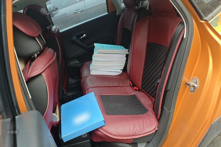 Volkswagen Polo 2015 car image #19