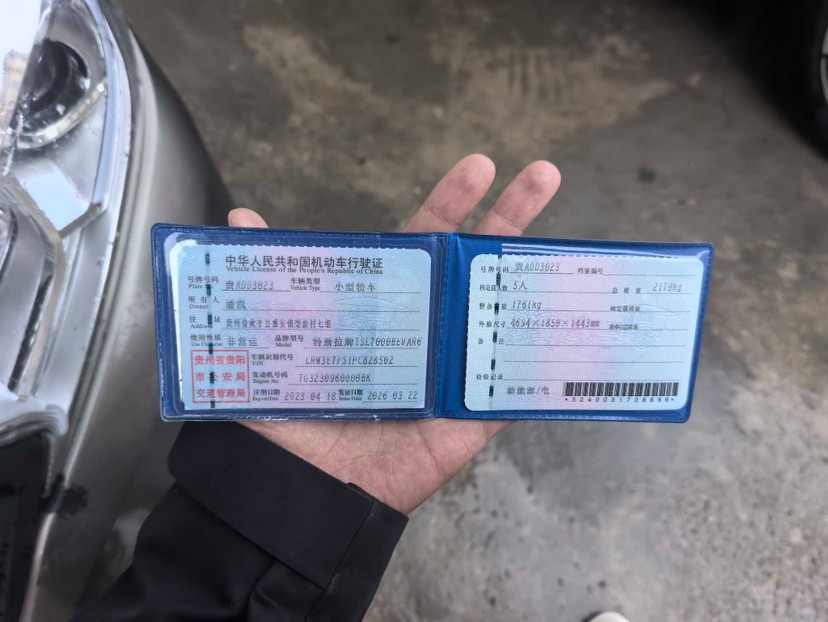 Tesla Model 3 2023 car image #8
