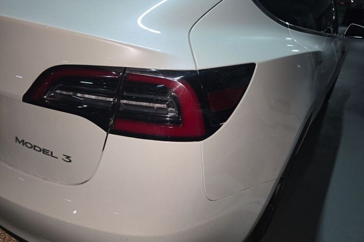 Tesla Model 3 2020 #8 Tesla Model 3 2020 car image #8
