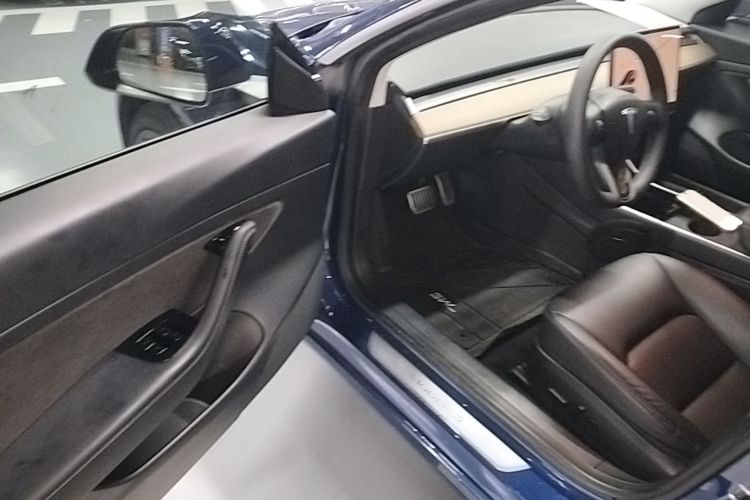 Tesla Model 3 2020 imagen de coche #12